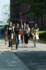 WIS studenci 291.jpg